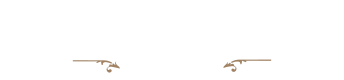 dark logo